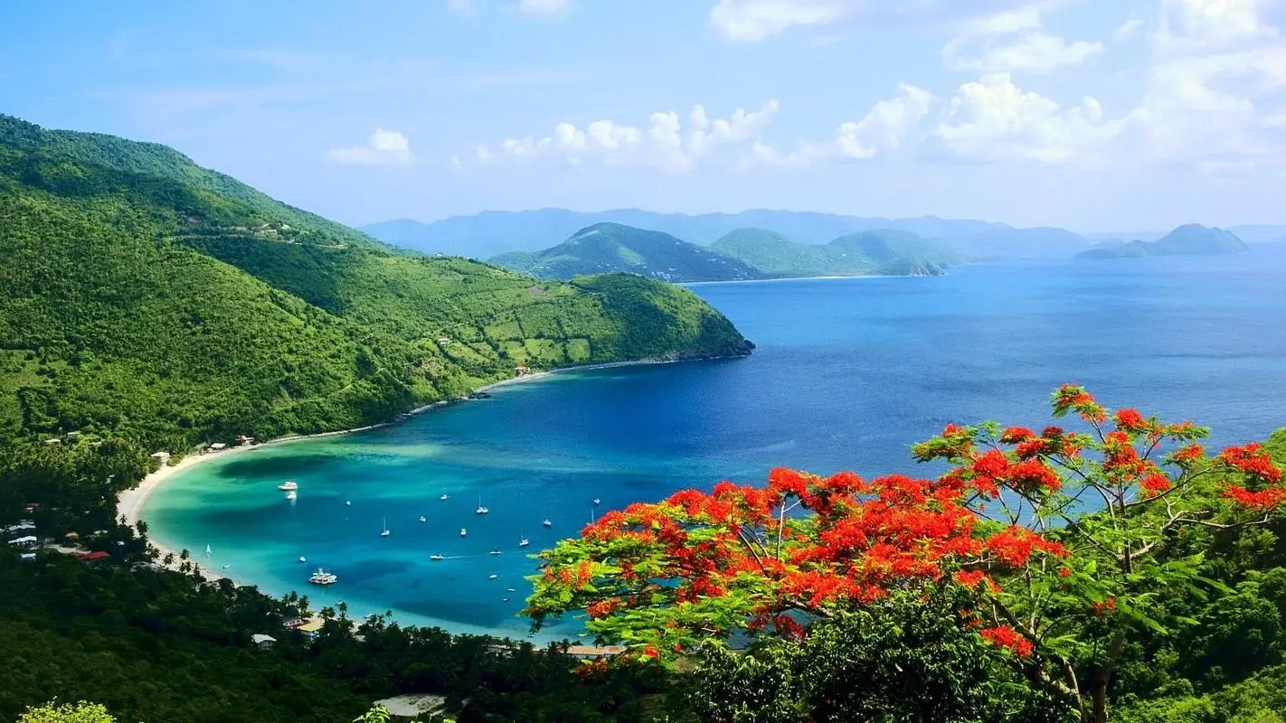 创新科技高性能