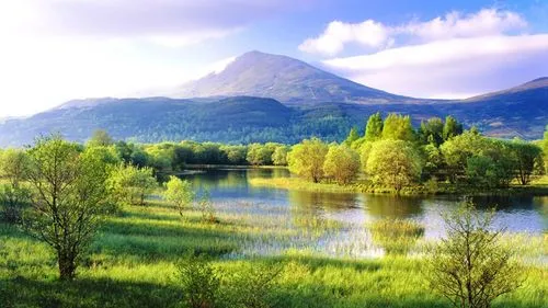 智慧智能系统自动化